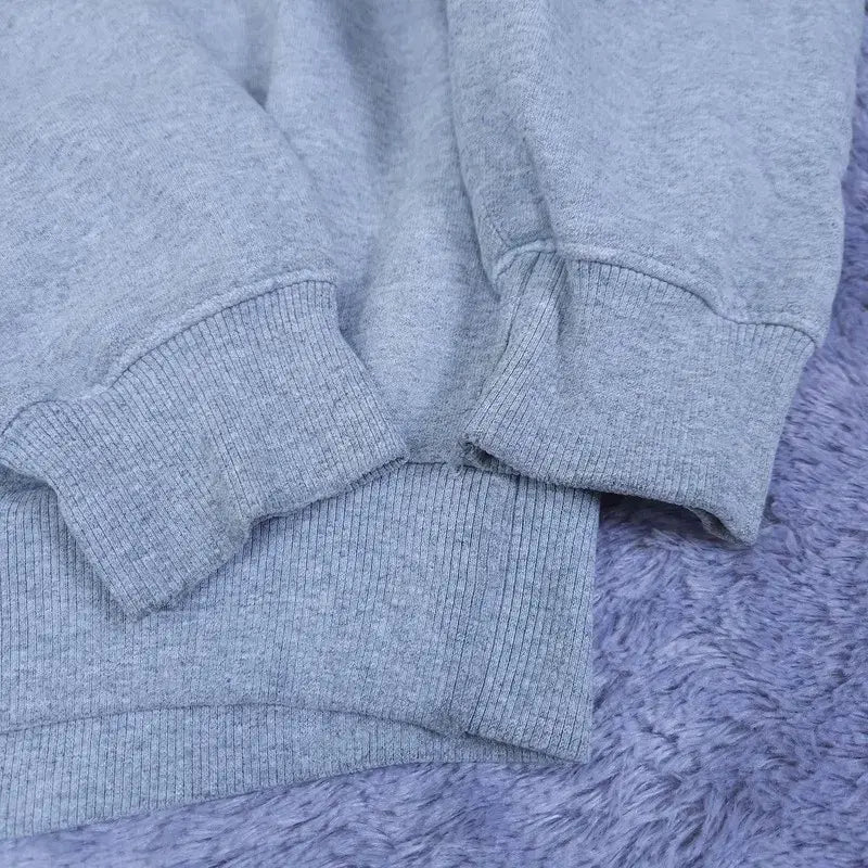 [BUNJANG] Champion Hoodie (L/G) / [L/G] 챔피온 후드티