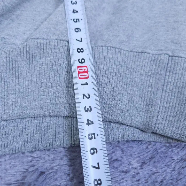 [BUNJANG] Champion Hoodie (L/G) / [L/G] 챔피온 후드티