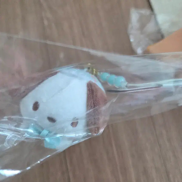 [BUNJANG] Sanrio Pochacco 6-Piece Bundle Set Plush Doll / 산리오 포차코 6종 판매합니다 인형