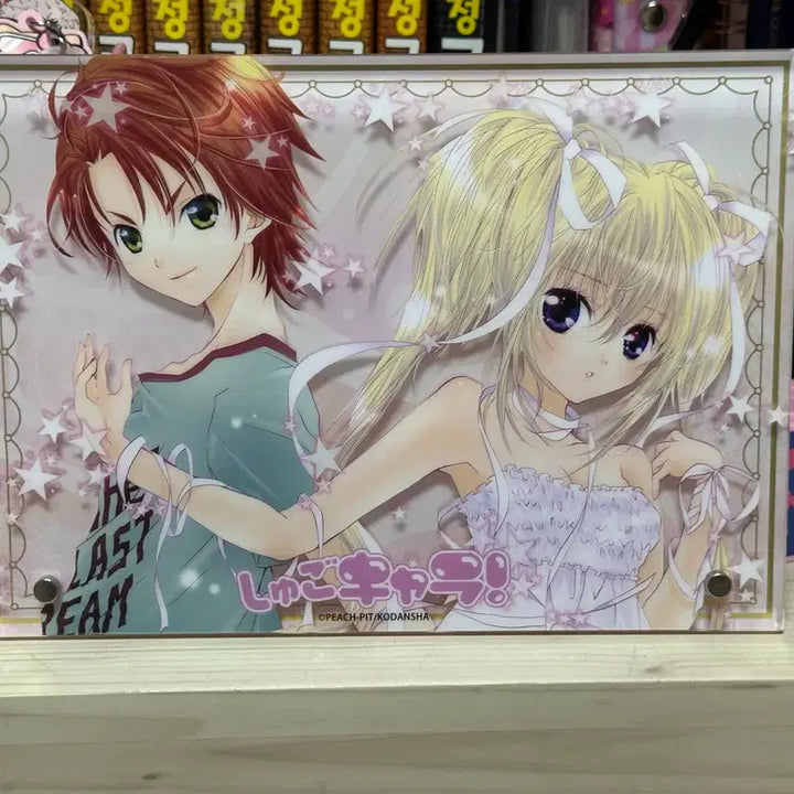 [BUNJANG] Character Chara! Acrylic Stand Panel Soma/Serah/Kuga/Utau / 캐릭캐릭체인지 캐캐체 아크릴 스탠드 패널 소마세라 쿠가우타