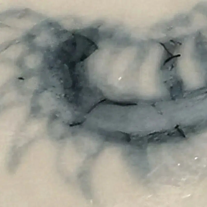 [BUNJANG] Ming Dynasty Blue and White Narrative Motif Brush Washer / 명대 청화서사문 화구 대접
