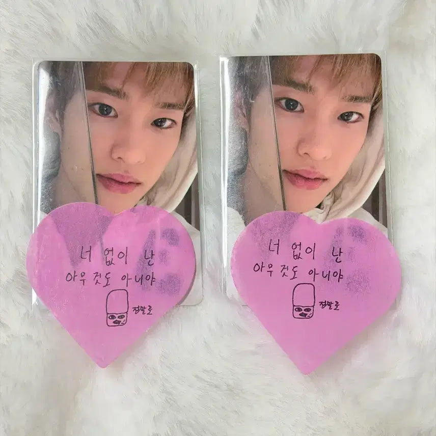 [BUNJANG] RIIZE Sohee Tokyo Dome Concert Photocard / 라이즈 도쿄돔 콘서트 회장한정 포카 소희 양도