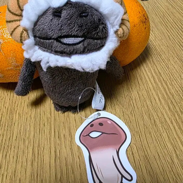[SOLD OUT] 양 나메코