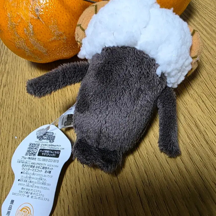 [SOLD OUT] 양 나메코