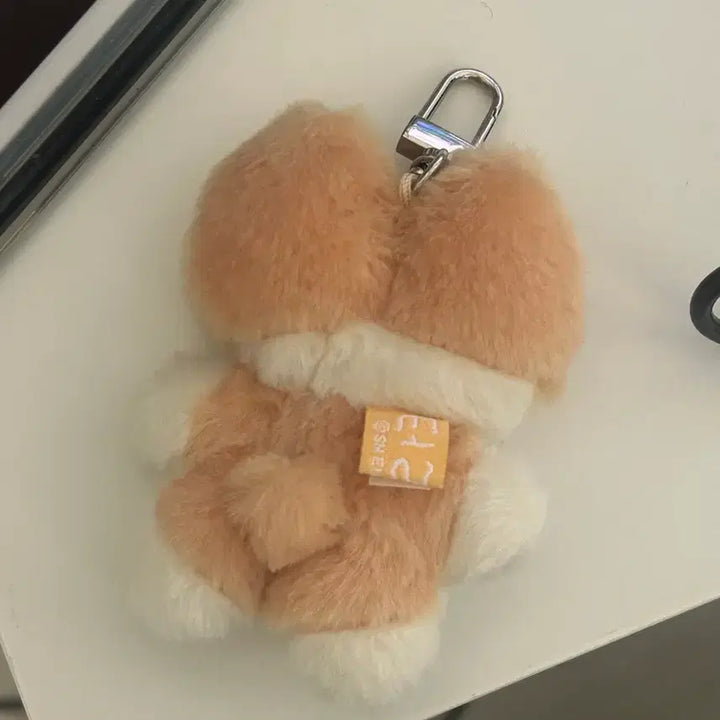 [BUNJANG] Baekhyun Teriyaki Doll Keyring / 터래기(백현 굿즈 /제발 잃어버리지마/개봉)