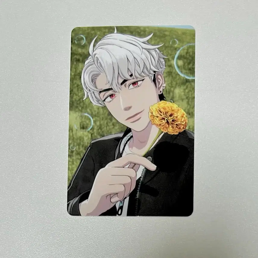 [BUNJANG] PLAVE Eunho Photocard / 플레이브 메디힐 2차 은호 포토카드 양도