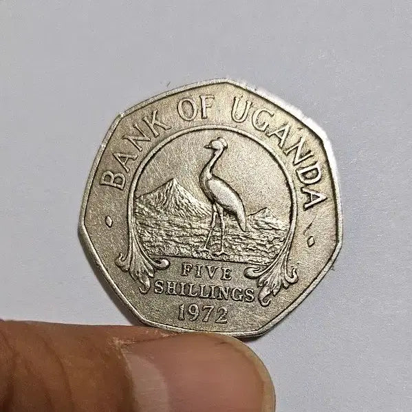 [BUNJANG] Uganda 1972 5 Shilling Coin / (희귀동전)우간다 1972년 5실링 동전(외국주화)206
