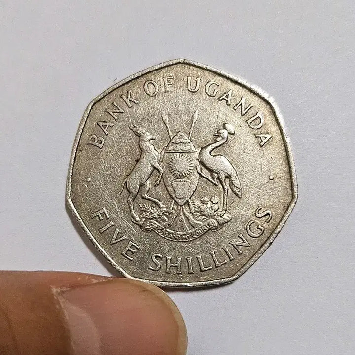 [BUNJANG] Uganda 1972 5 Shilling Coin / (희귀동전)우간다 1972년 5실링 동전(외국주화)206