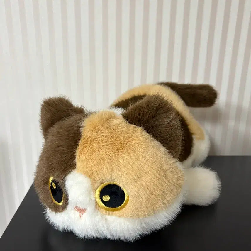 [BUNJANG] Tricolor Cat Plush Doll 40cm / 삼색이 고양이 중형인형 40cm 새상품