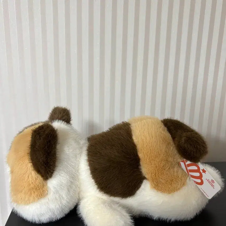 [BUNJANG] Tricolor Cat Plush Doll 40cm / 삼색이 고양이 중형인형 40cm 새상품