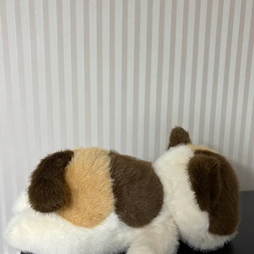 [BUNJANG] Tricolor Cat Plush Doll 40cm / 삼색이 고양이 중형인형 40cm 새상품