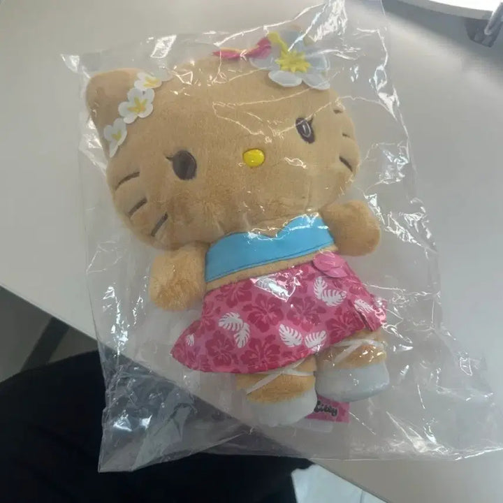 [BUNJANG] 산리오 정품 태닝키티 헬로키티 봉제인형 미개봉 새상품 / 산리오 정품 태닝키티 헬로키티 봉제인형 미개봉 새상품