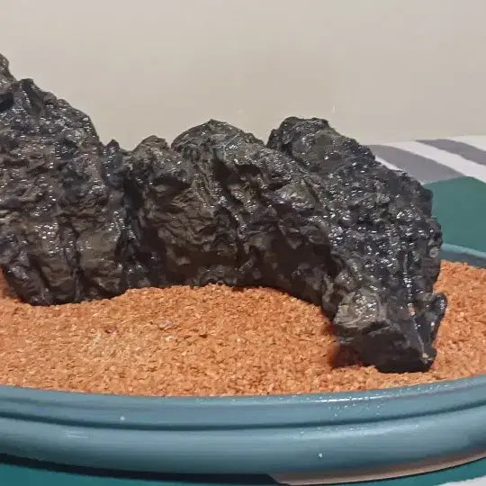[BUNJANG] Stone from Jeongseon / 수석(강원도/정선)