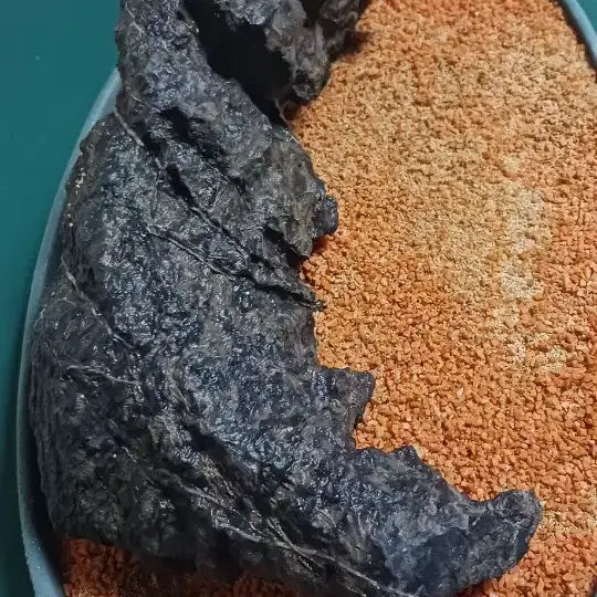 [BUNJANG] Stone from Jeongseon / 수석(강원도/정선)