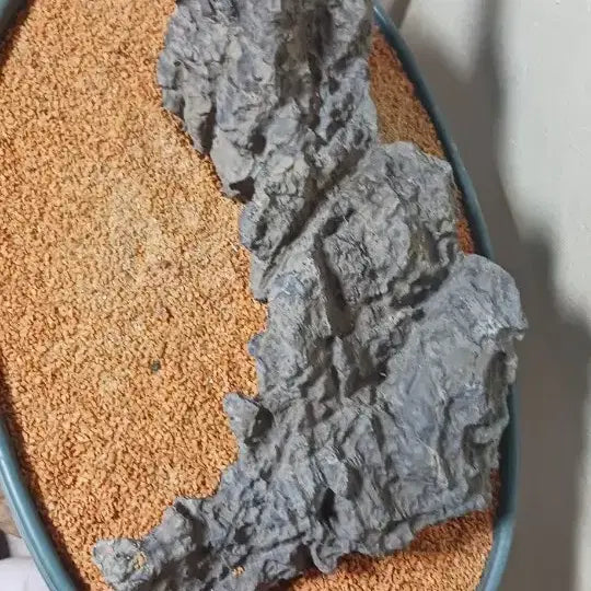 [BUNJANG] Stone from Jeongseon / 수석(강원도/정선)