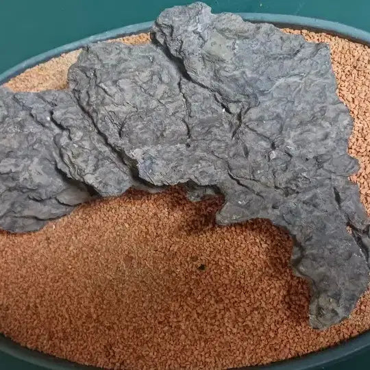 [BUNJANG] Stone from Jeongseon / 수석(강원도/정선)