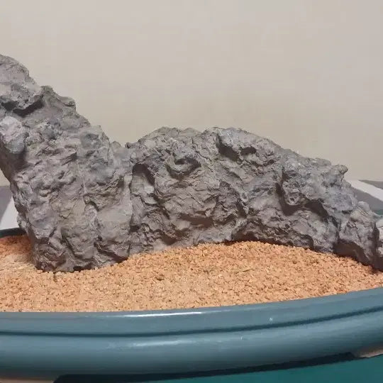 [BUNJANG] Stone from Jeongseon / 수석(강원도/정선)