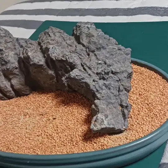 [BUNJANG] Stone from Jeongseon / 수석(강원도/정선)