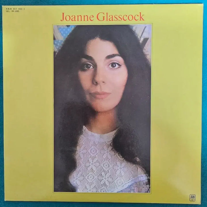 [BUNJANG] Joanne Glasscock The Centaur LP Album / Joanne Glasscock의" The Centaur"LP 음반입니다