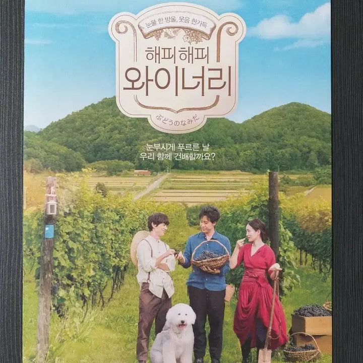 [BUNJANG] Happy Happy Winery Movie Flyer Pamphlet / 해피해피 와이너리 영화 전단지 포스터 팜플렛