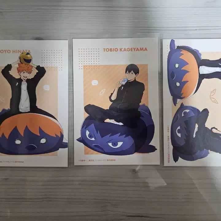 [BUNJANG] Haikyuu Kageyama Hinata Postcard Bundle Set / 허이큐 카게야마 히나타 엽서 포스트카드 세트