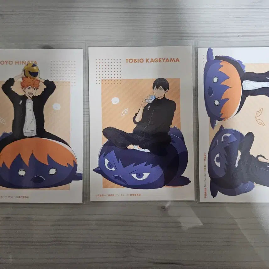 [BUNJANG] Haikyuu Kageyama Hinata Postcard Bundle Set / 허이큐 카게야마 히나타 엽서 포스트카드 세트