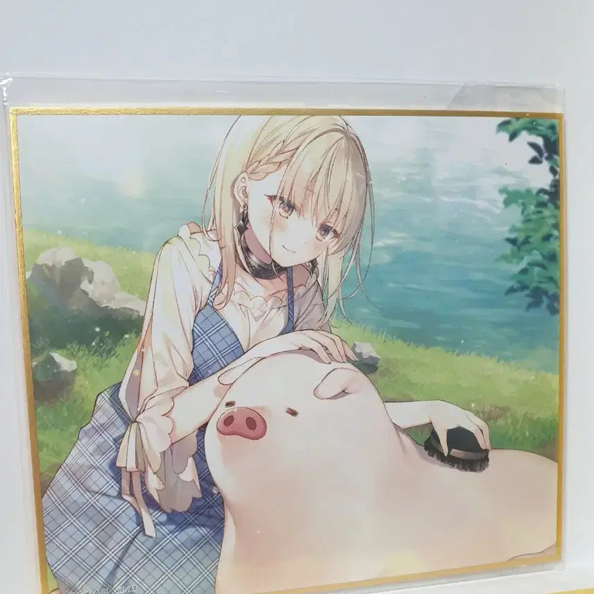 [BUNJANG] Heat the Pig Liver Kuji Shikishi / 돼지의 간은 가열해라 색지