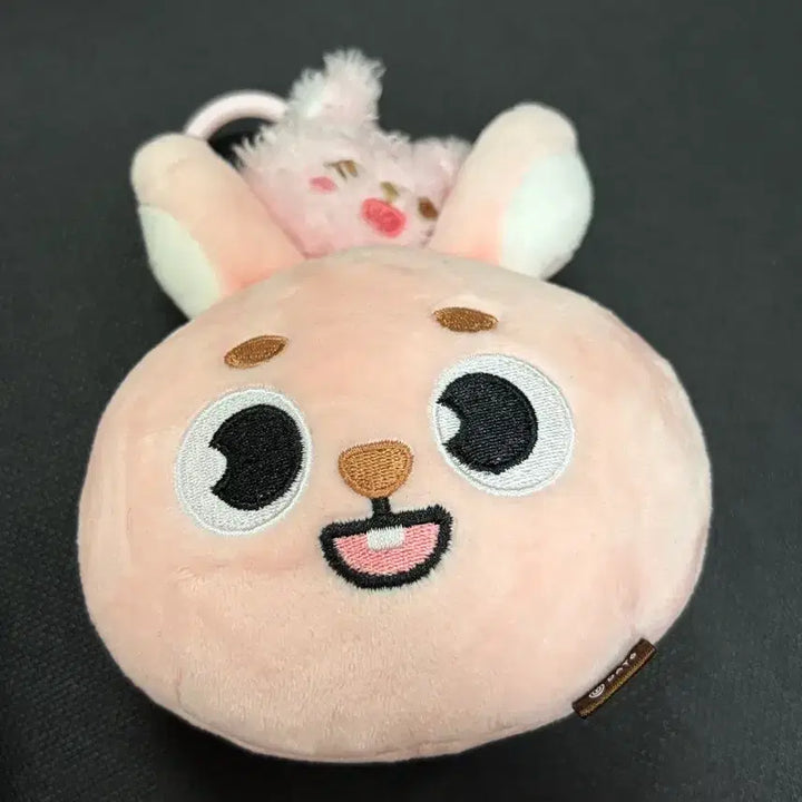 [BUNJANG] Danimals Phil Lil Face Set / 데니멀즈 릴페이스 세트 필