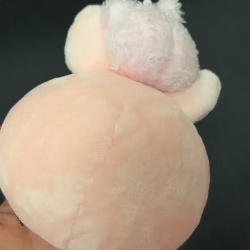 [BUNJANG] Danimals Phil Lil Face Set / 데니멀즈 릴페이스 세트 필