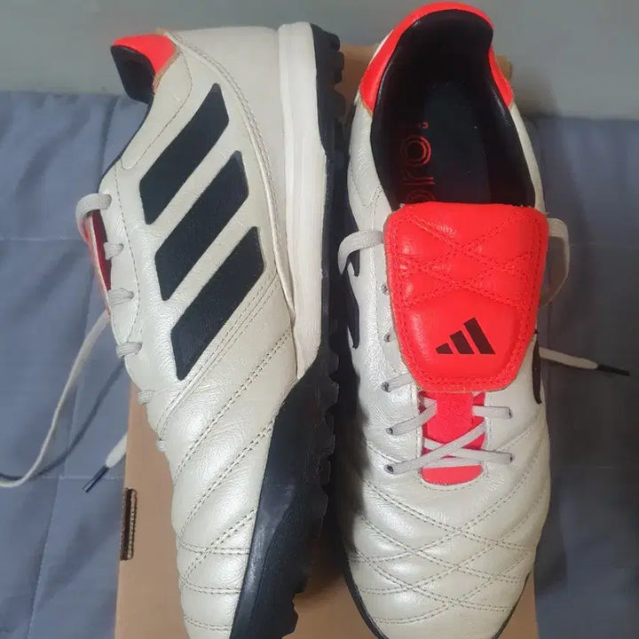 [BUNJANG] Adidas Copa Gloro TF 245 Soccer Cleats / 코파 글로로 TF 245
