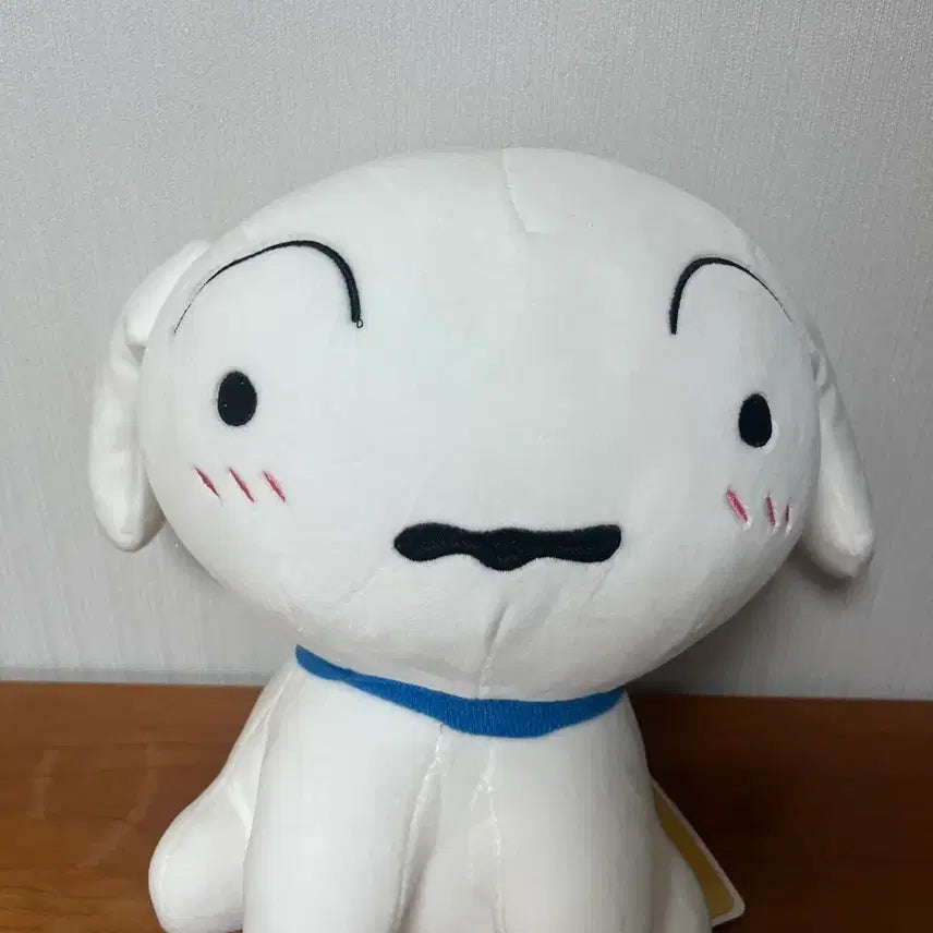[BUNJANG] Crayon Shin-chan Shiro Plush Doll / 짱구는 못말려 흰둥이 인형