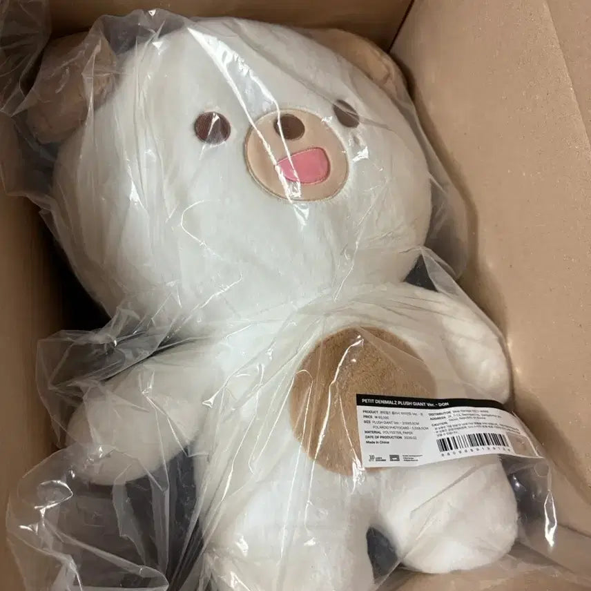 [BUNJANG] DAY6 Dowoon Giant Pptimalz Doll (Sealed) with Photocard / 자이언트 쁘띠멀즈 쁘멀 도운 돈 미개봉 (포카 포함)
