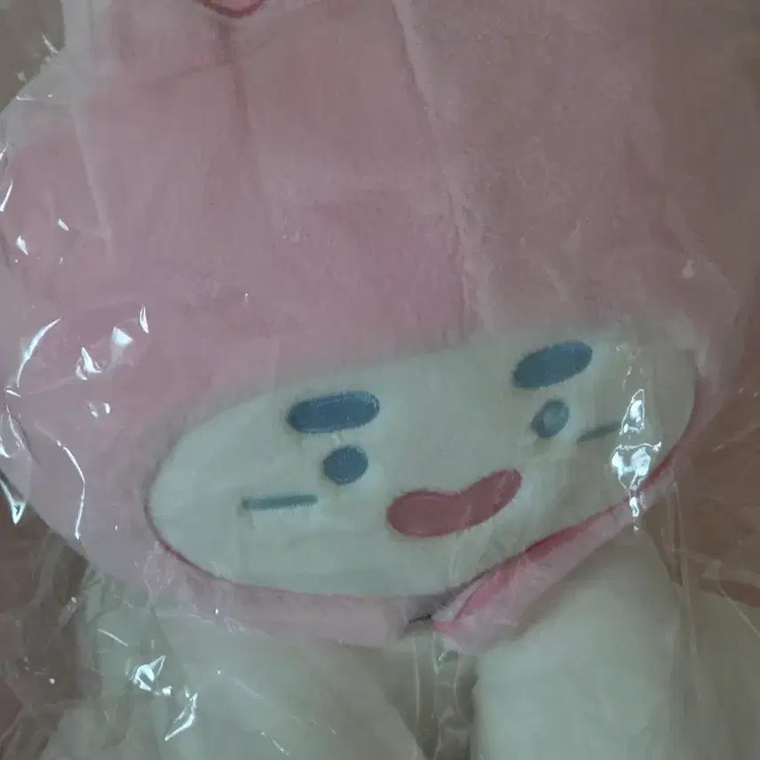 [BUNJANG] Onew Jjingnyangi 30cm Doll / 온유 찡냥이 30cm 인형
