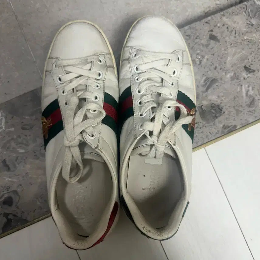 [BUNJANG] Gucci Bee Sneakers / 구찌 꿀벌 스니커즈