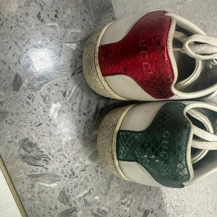 [BUNJANG] Gucci Bee Sneakers / 구찌 꿀벌 스니커즈