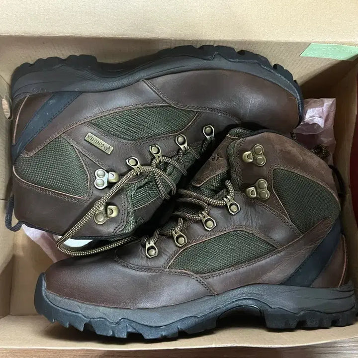 [BUNJANG] Tracksta Mountain GTX Hiking Boots / 트랙스타 고어텍스 마운틴GTX 270 새신발