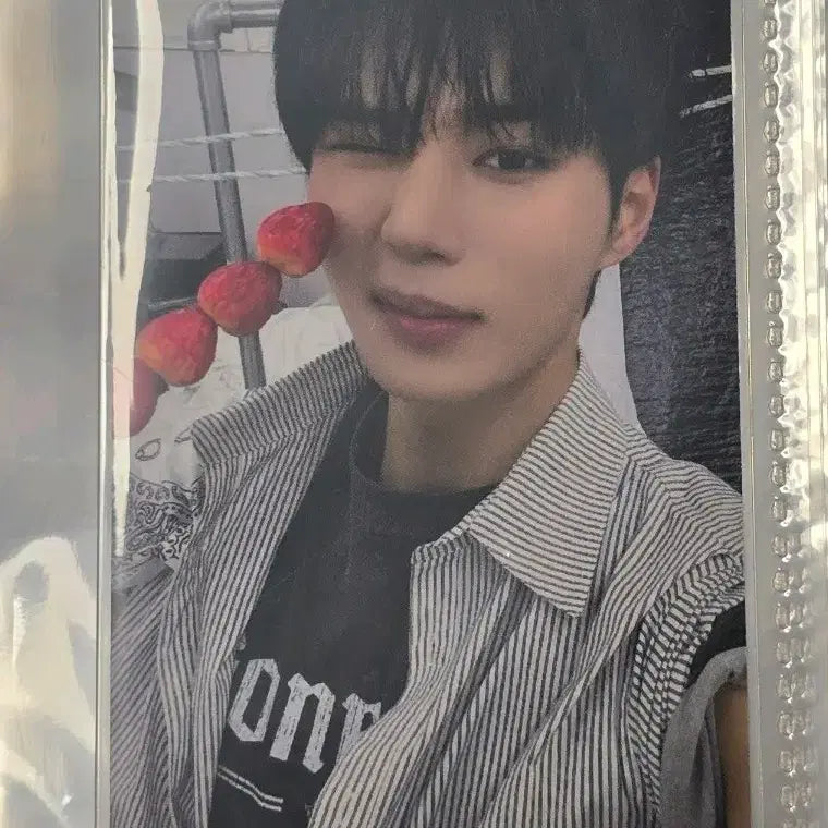 [BUNJANG] ALPHADRIVEONE Kim Junseo Starlight Tanghulu POB Photocard / 알파드라이브원 김준서 스타리버 탕후루 미공포 양도