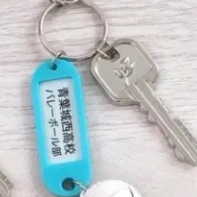 [BUNJANG] Haikyu Seijo Keychain / 하이큐 부실키링 세이죠키링