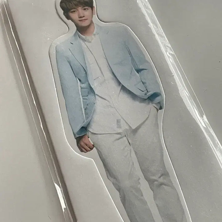 [BUNJANG] EXO Baekhyun Nature Standee Official Goods / exo official goods BAEKHYUN 엑소백현공굿 백현굿즈