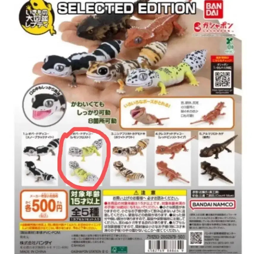 [BUNJANG] Bandai Leopard Gecko Figure / 반다이 생물대도감 레오파드 게코 도마뱀 피규어 가챠 미개봉