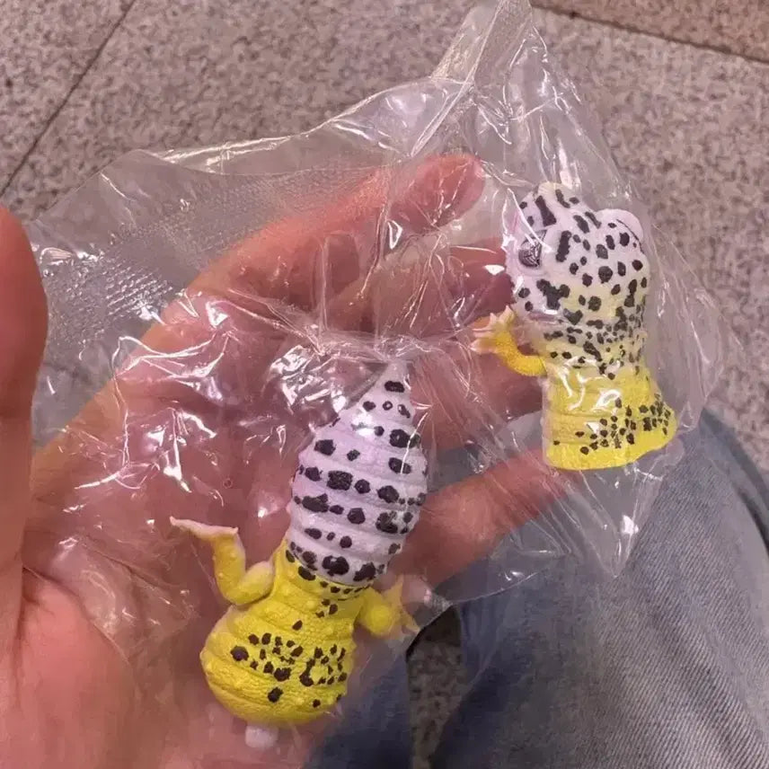[BUNJANG] Bandai Leopard Gecko Figure / 반다이 생물대도감 레오파드 게코 도마뱀 피규어 가챠 미개봉