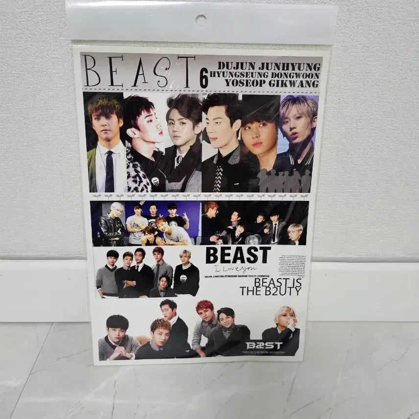 [BUNJANG] Beast Photo Sticker / 비스트 포토스티커