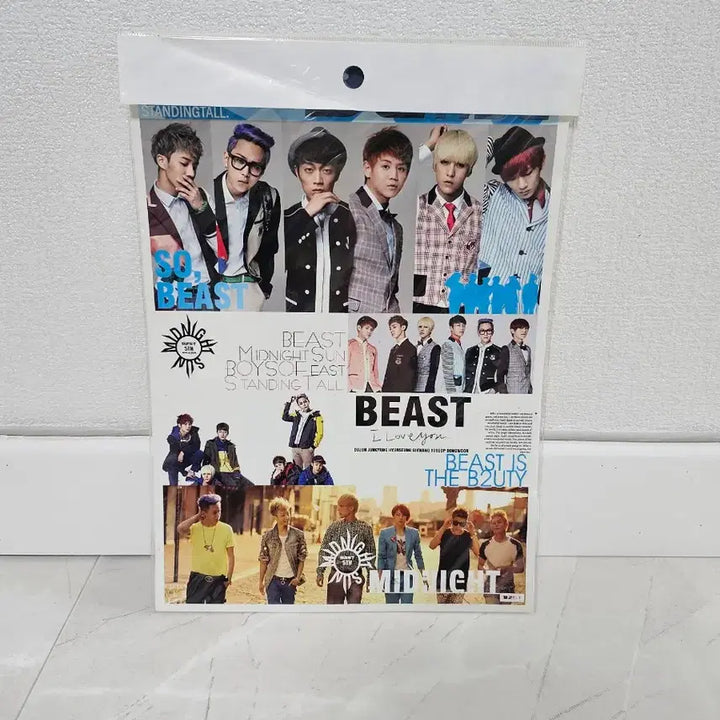 [BUNJANG] Beast Photo Sticker / 비스트 포토스티커