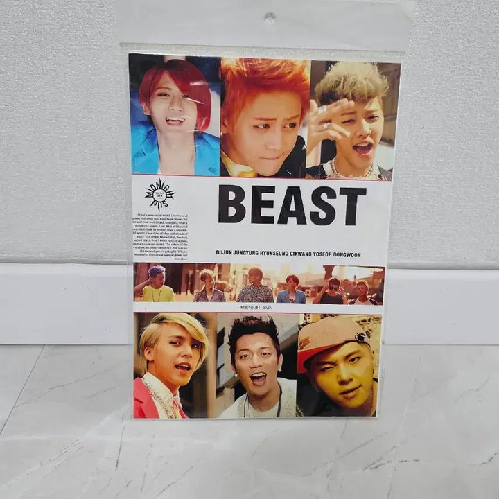 [BUNJANG] Beast Photo Sticker / 비스트 포토스티커