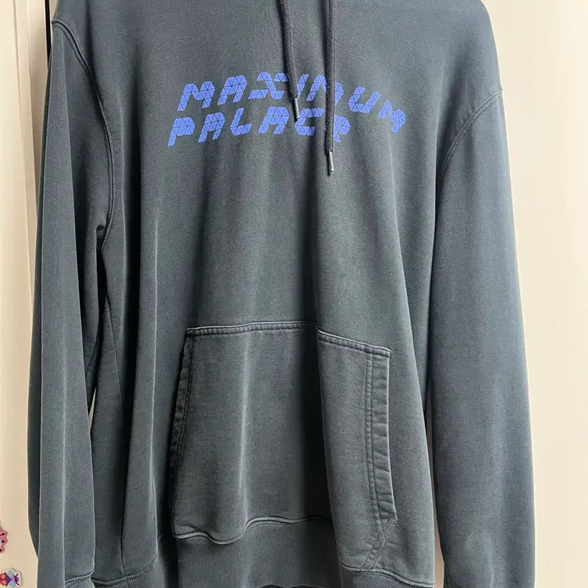 [BUNJANG] Palace Maximum Tri-Ferg Hoodie / 팔라스 맥시멈 트라이 퍼그 후드 판매 합니다
