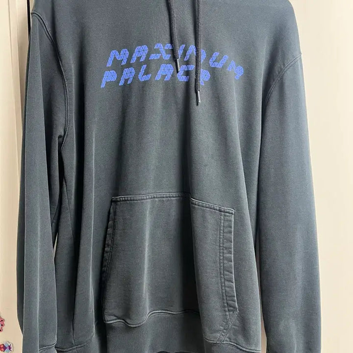 [BUNJANG] Palace Maximum Tri-Ferg Hoodie / 팔라스 맥시멈 트라이 퍼그 후드 판매 합니다