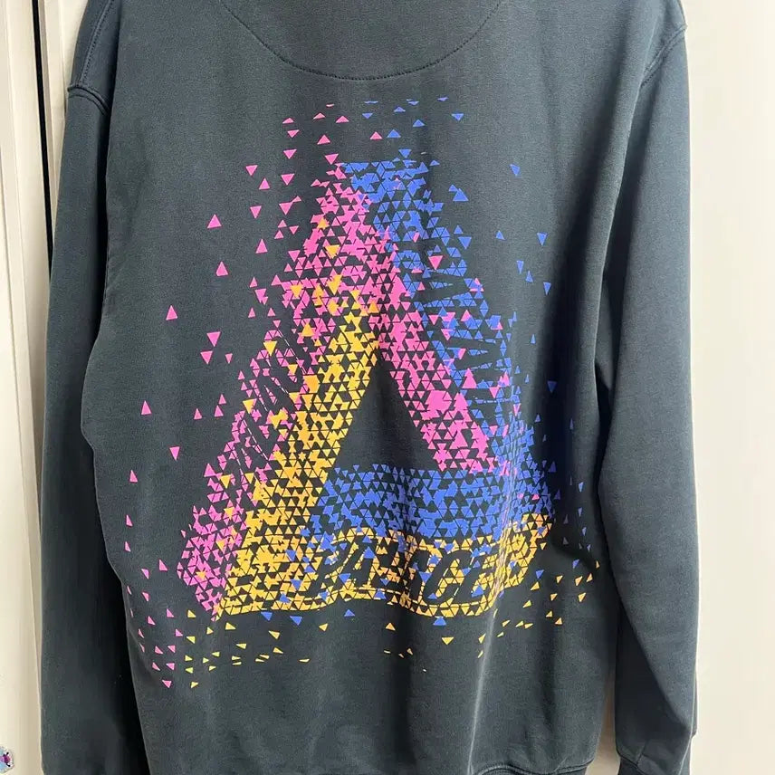 [BUNJANG] Palace Maximum Tri-Ferg Hoodie / 팔라스 맥시멈 트라이 퍼그 후드 판매 합니다