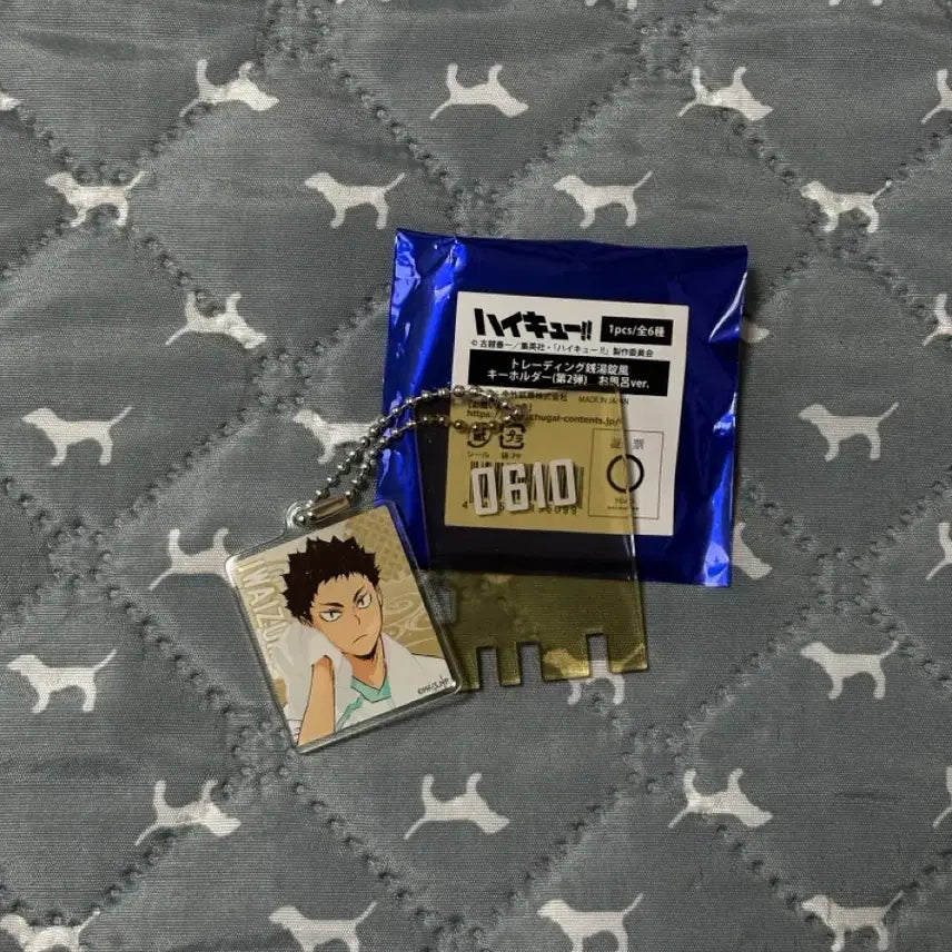 [BUNJANG] Haikyu Rakuspa Iwaizumi Onsen Keyring / 하이큐 라쿠스파 극락탕 키링 이와이즈미