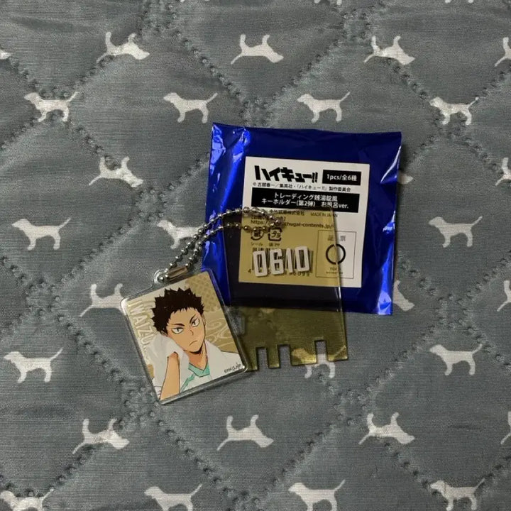 [BUNJANG] Haikyu Rakuspa Iwaizumi Onsen Keyring / 하이큐 라쿠스파 극락탕 키링 이와이즈미
