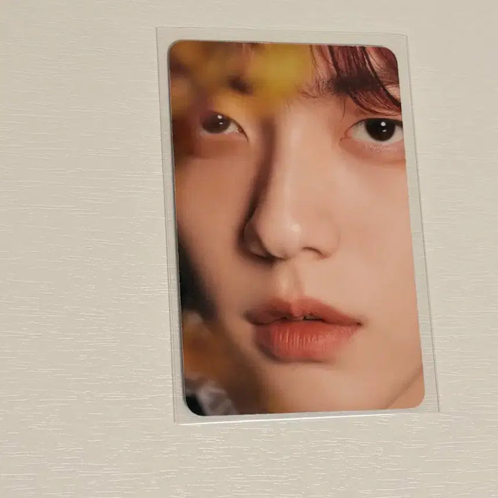 [BUNJANG] TXT Subin Dicon Photocard Set / (일괄가격)[투바투 수빈] 디아이콘 포카세트 양도합니다 :)